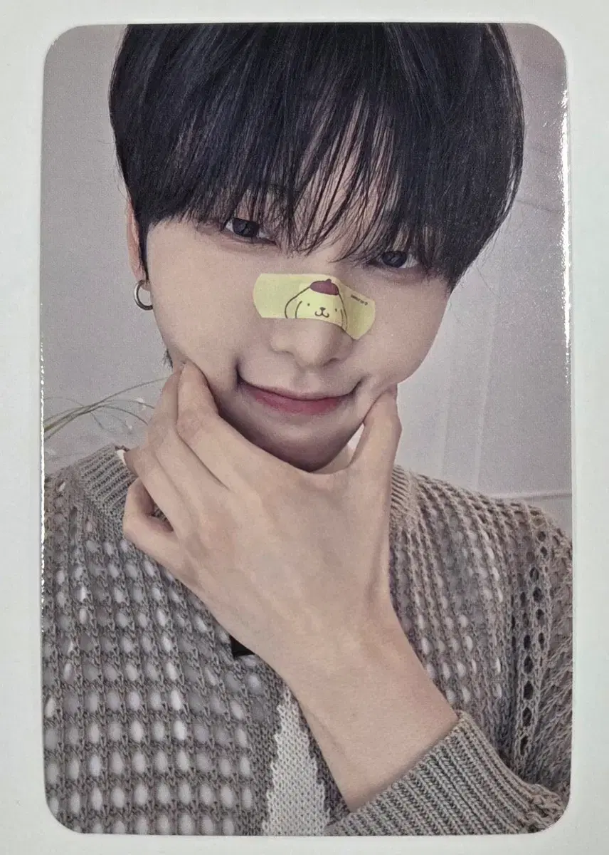 ONEUS 원어스 서호 NOW 사운드웨이브 특전 포카 | 브랜드 중고거래